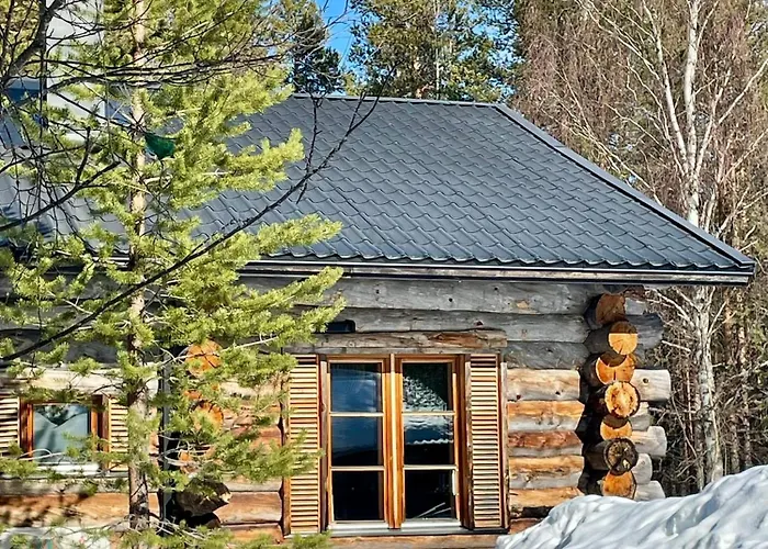 Daire Levin Lumo Levi